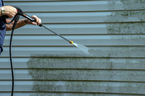 Best Exterior Home Cleaning  in Colonia, NJ